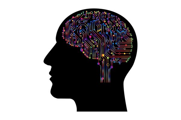 Neurociencia: las claves para la verdadera transformación personal y de vida